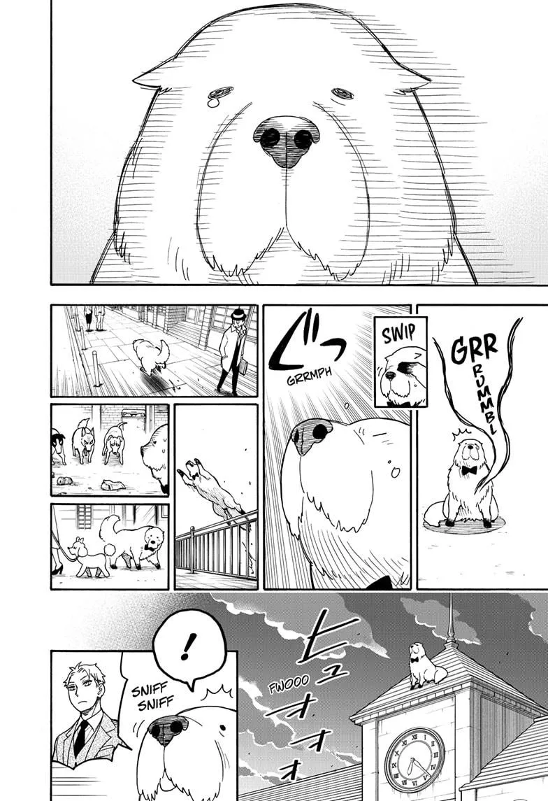 SPY x FAMILY, chapter 40, image 13