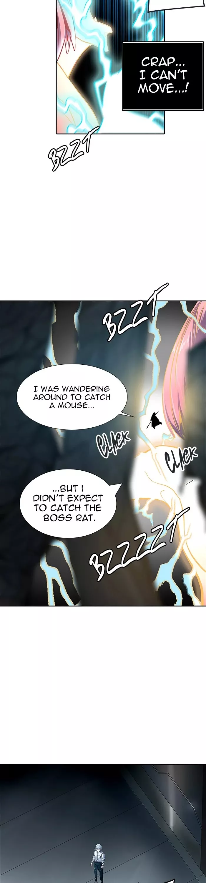 Tower of God, chapter 509, image 45