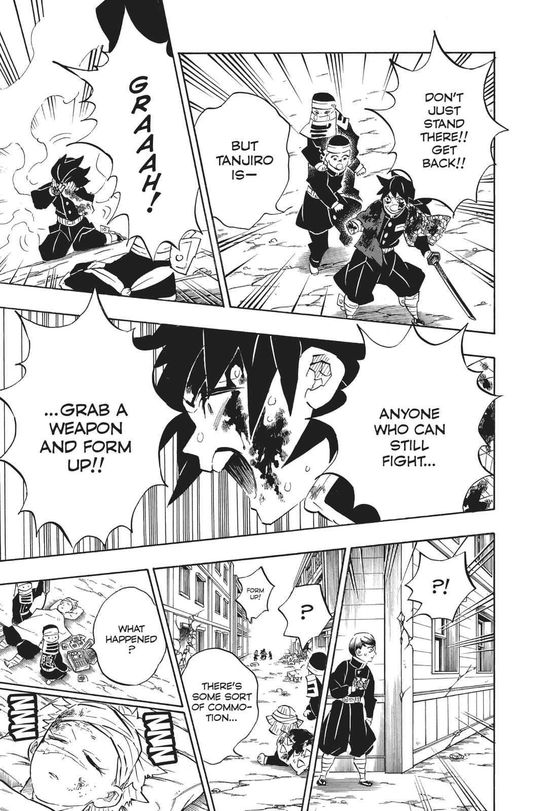 Demon Slayer: Kimetsu no Yaiba, chapter 201, image 11