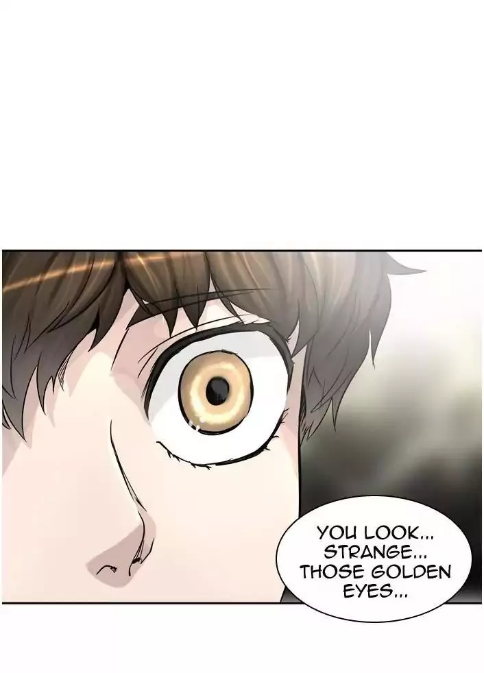 Tower of God, chapter 385, image 73