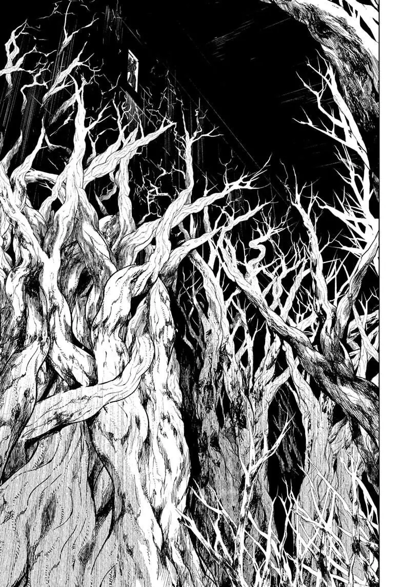 Jujutsu Kaisen, chapter 144, image 13