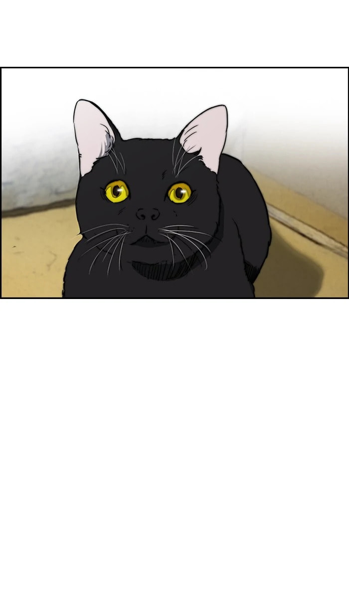 Wind Breaker, chapter 217, image 44
