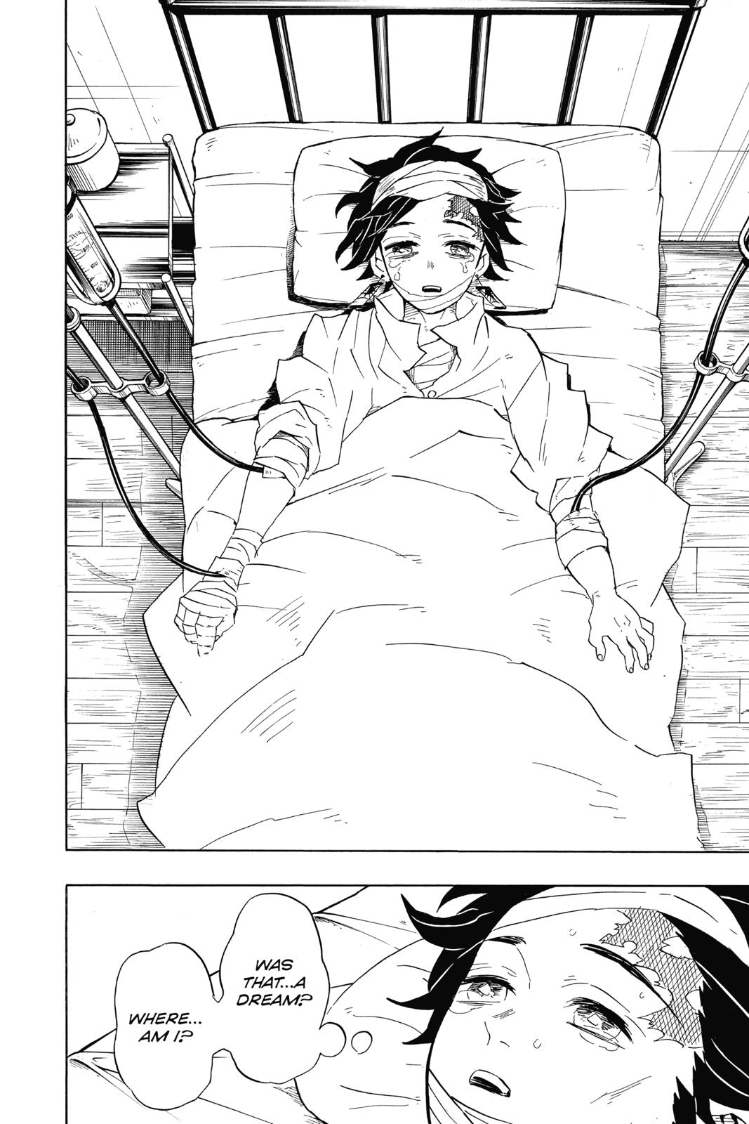 Demon Slayer: Kimetsu no Yaiba, chapter 99, image 18