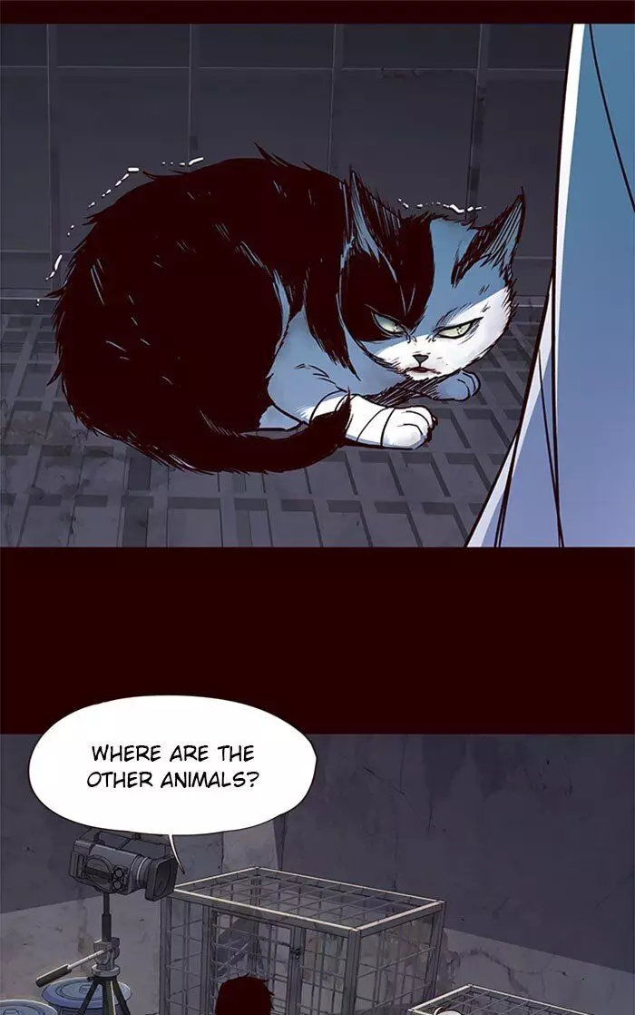 Eleceed, chapter 36, image 10