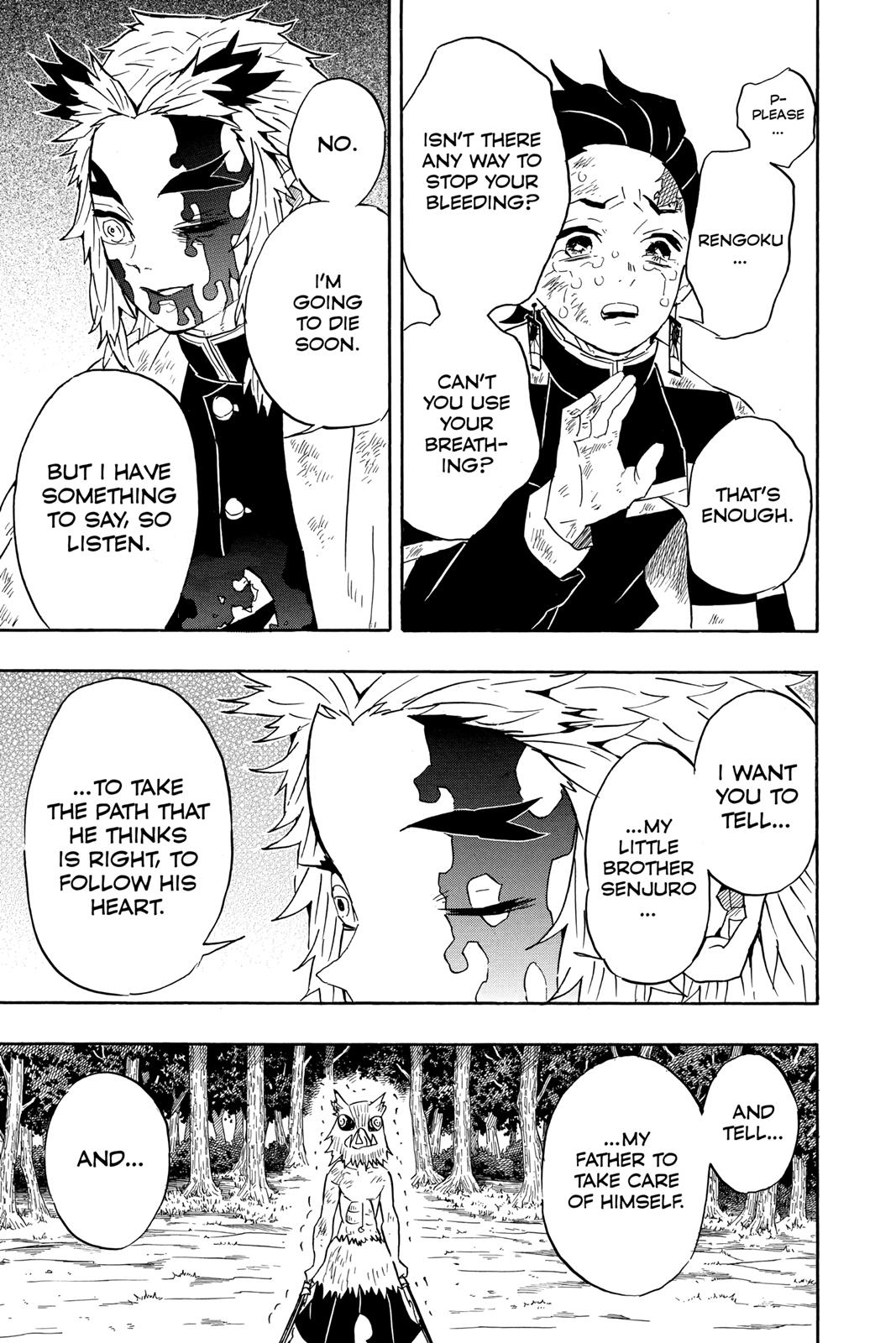 Demon Slayer: Kimetsu no Yaiba, chapter 66, image 3