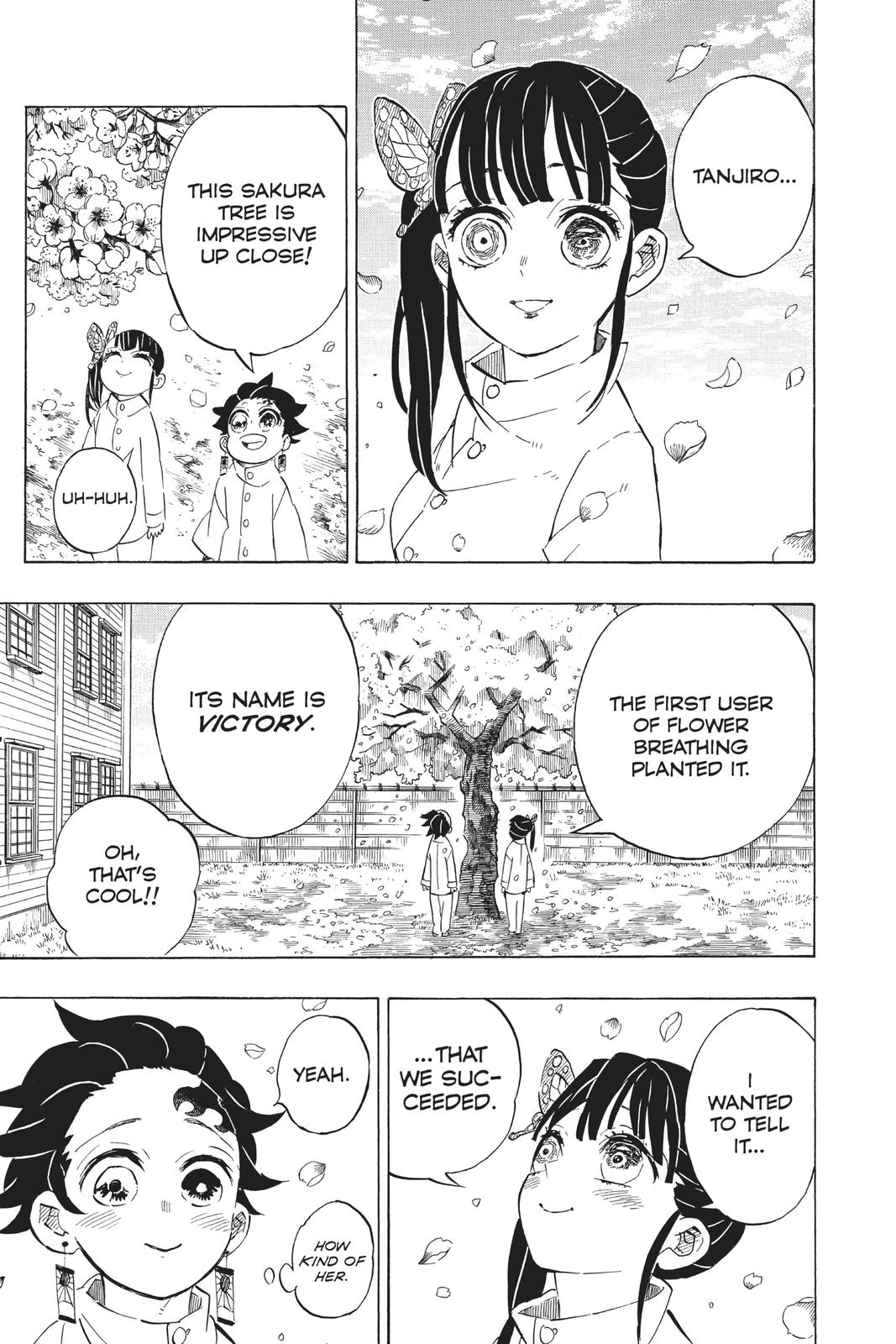 Demon Slayer: Kimetsu no Yaiba, chapter 204, image 18