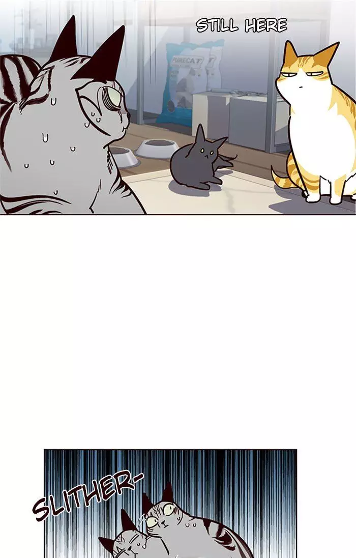 Eleceed, chapter 37, image 40