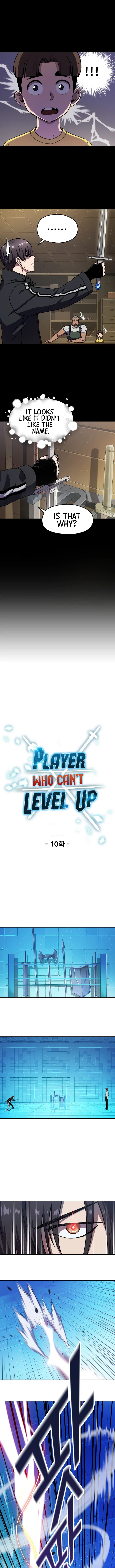 Player Who Can't Level Up, chapter 10, image 4