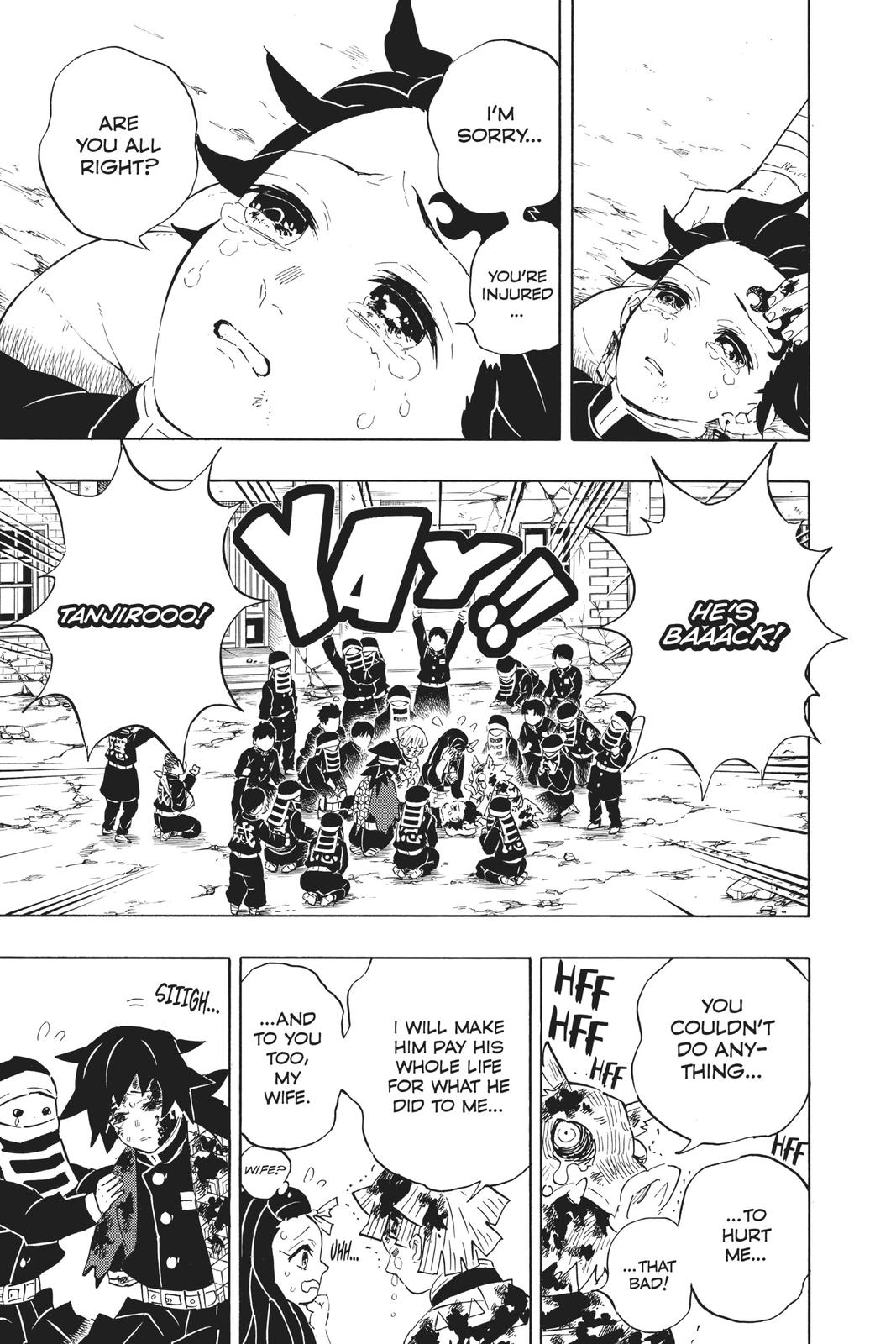 Demon Slayer: Kimetsu no Yaiba, chapter 203, image 17