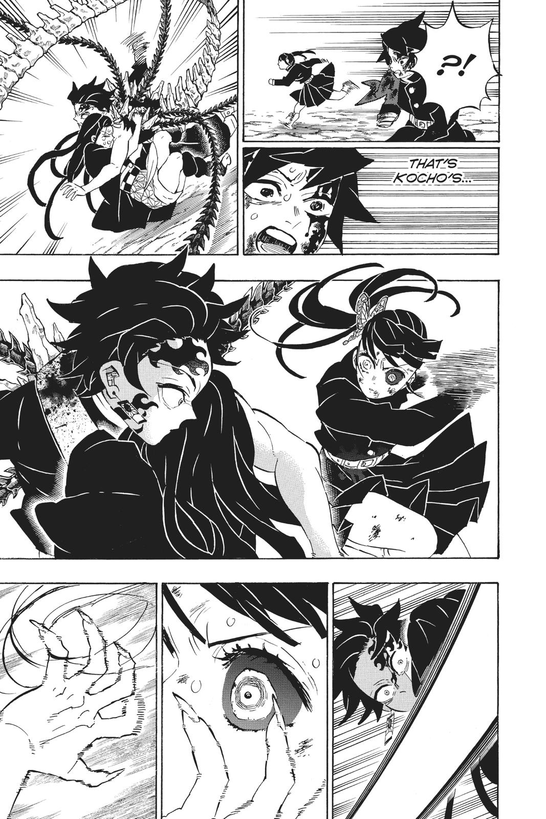 Demon Slayer: Kimetsu no Yaiba, chapter 202, image 17