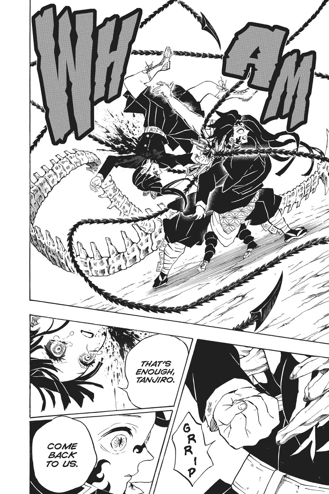 Demon Slayer: Kimetsu no Yaiba, chapter 202, image 18