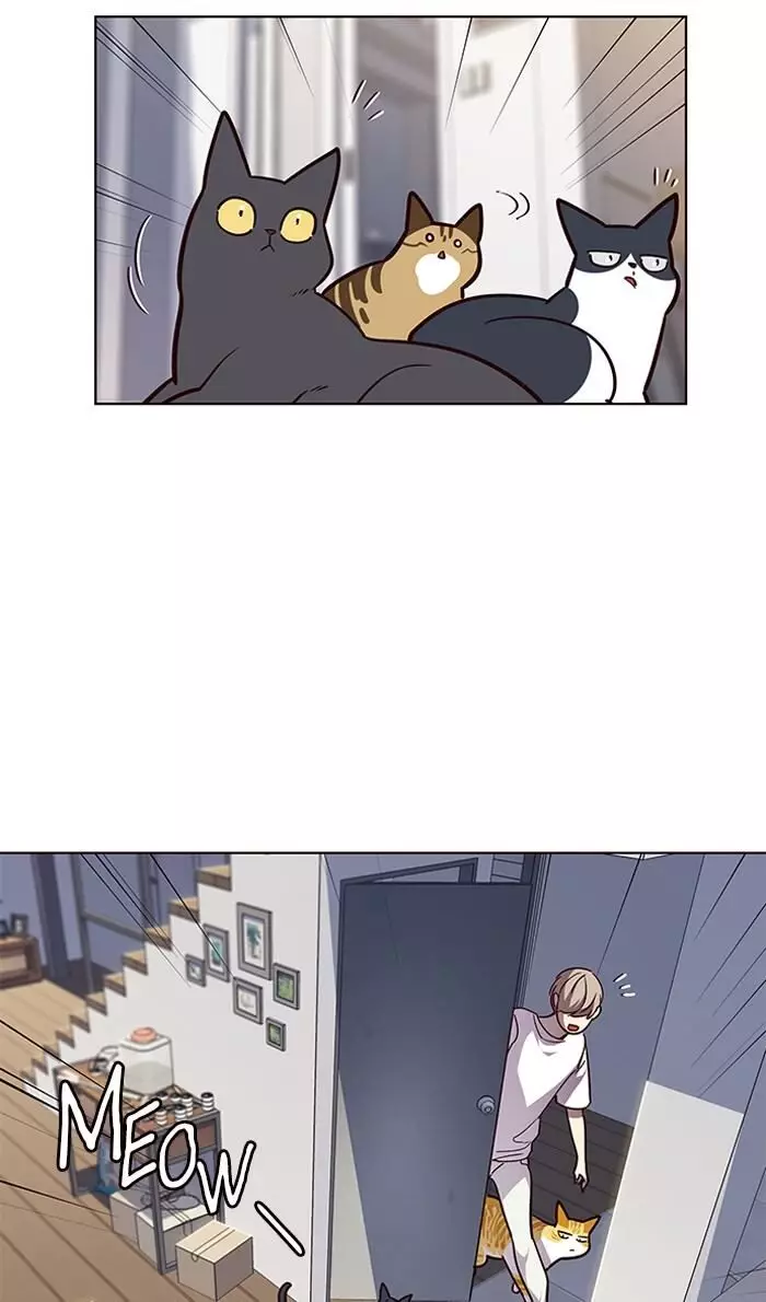 Eleceed, chapter 55, image 11