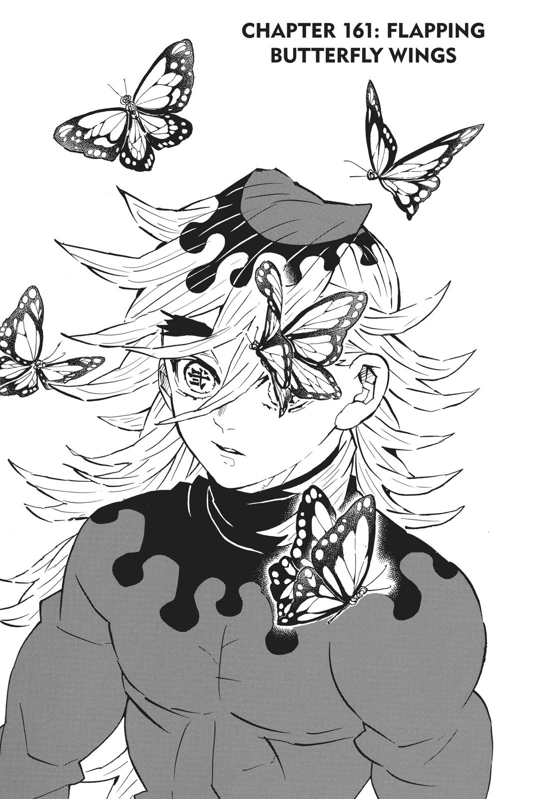 Demon Slayer: Kimetsu no Yaiba, chapter 161, image 7