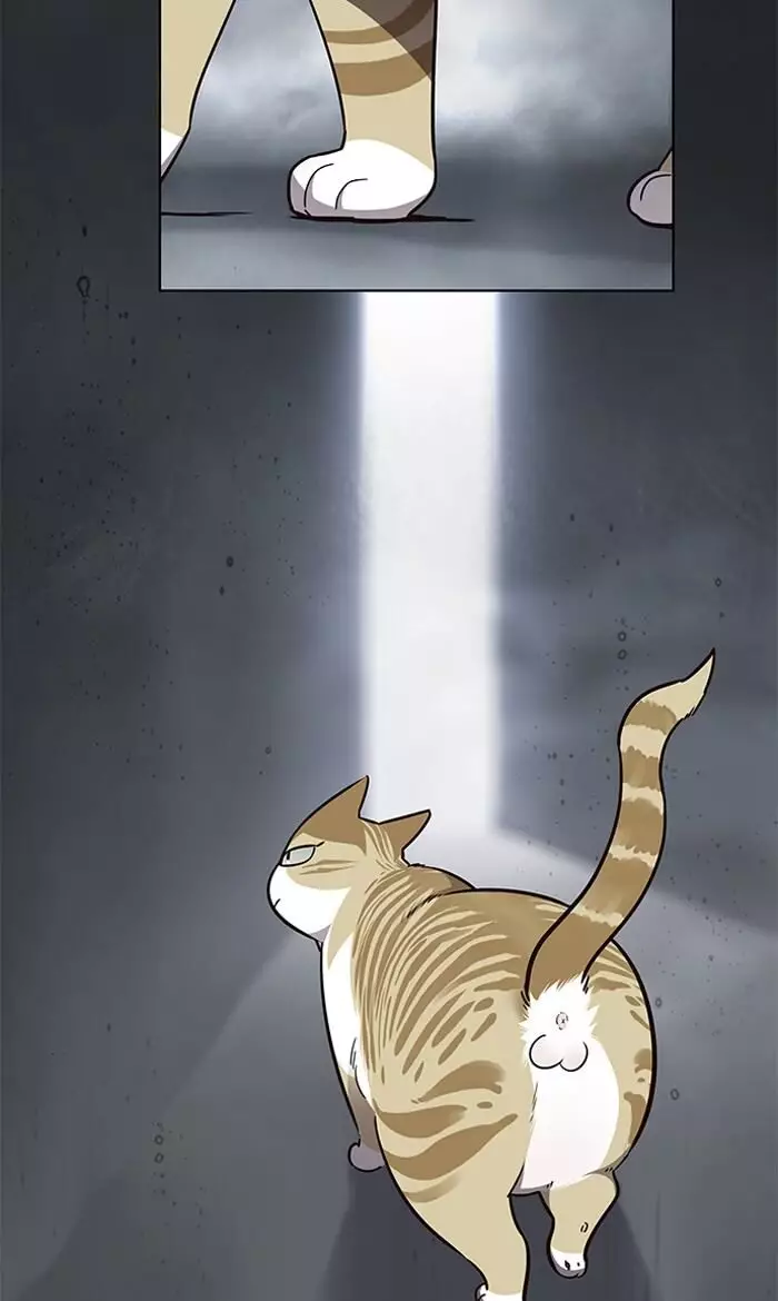Eleceed, chapter 56, image 2