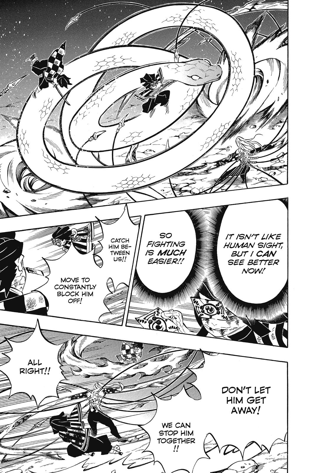 Demon Slayer: Kimetsu no Yaiba, chapter 195, image 17
