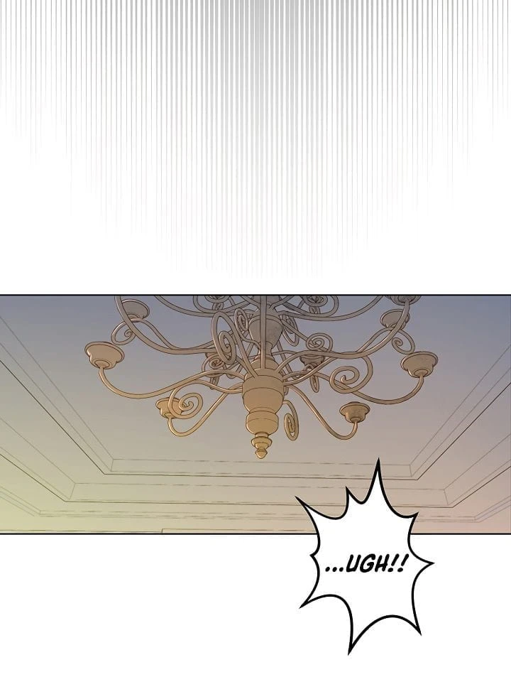 The Max Level Hero has Returned!, chapter 2, image 7