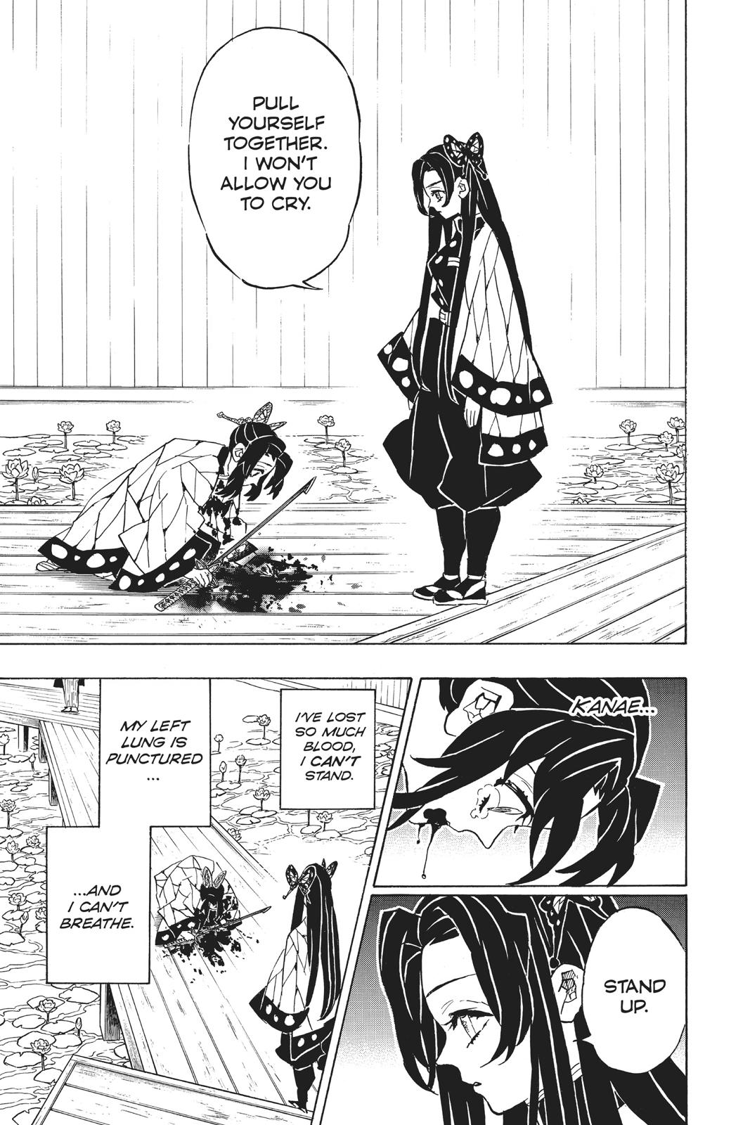 Demon Slayer: Kimetsu no Yaiba, chapter 142, image 11