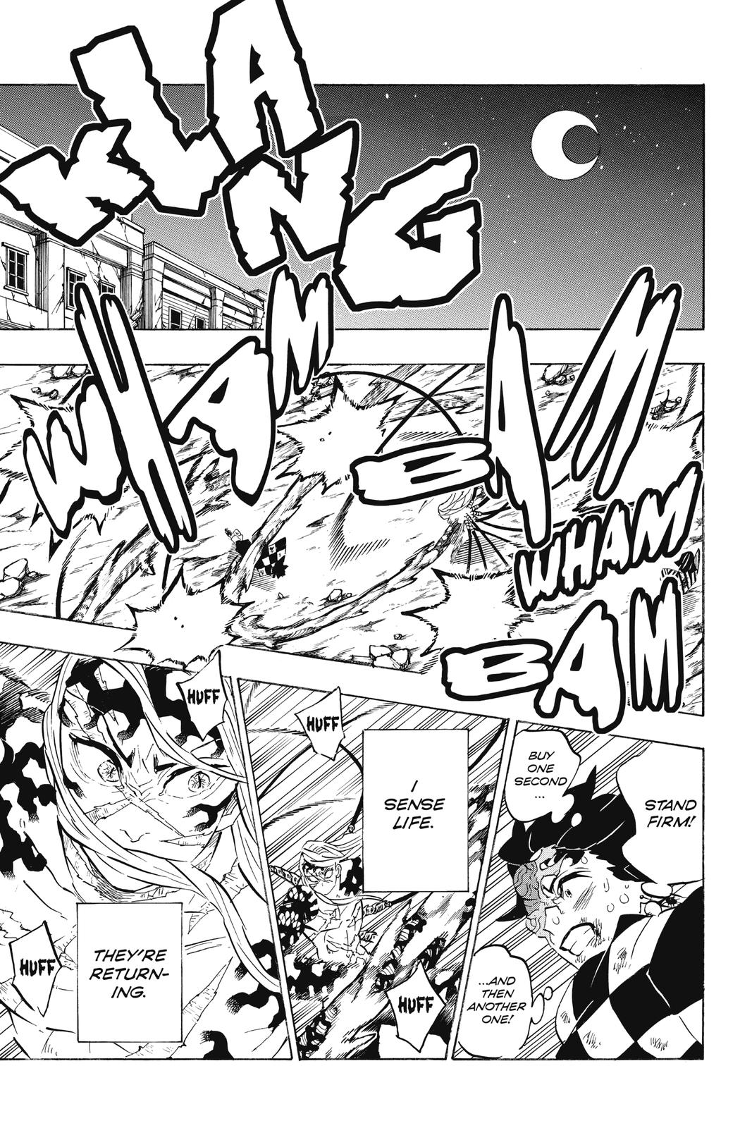 Demon Slayer: Kimetsu no Yaiba, chapter 196, image 13