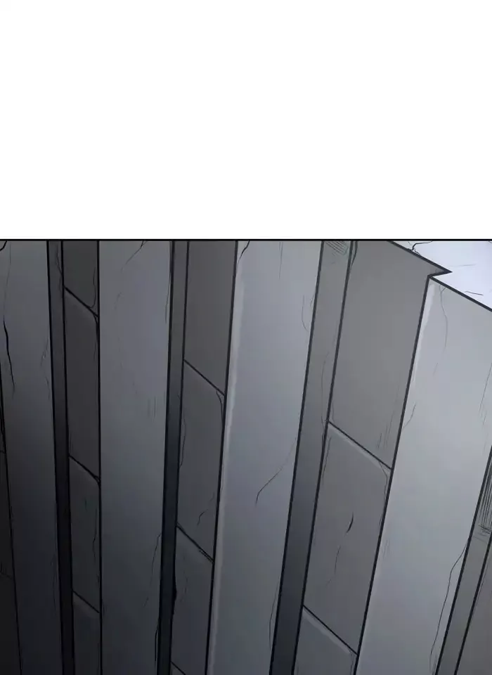 Tower of God, chapter 419, image 47