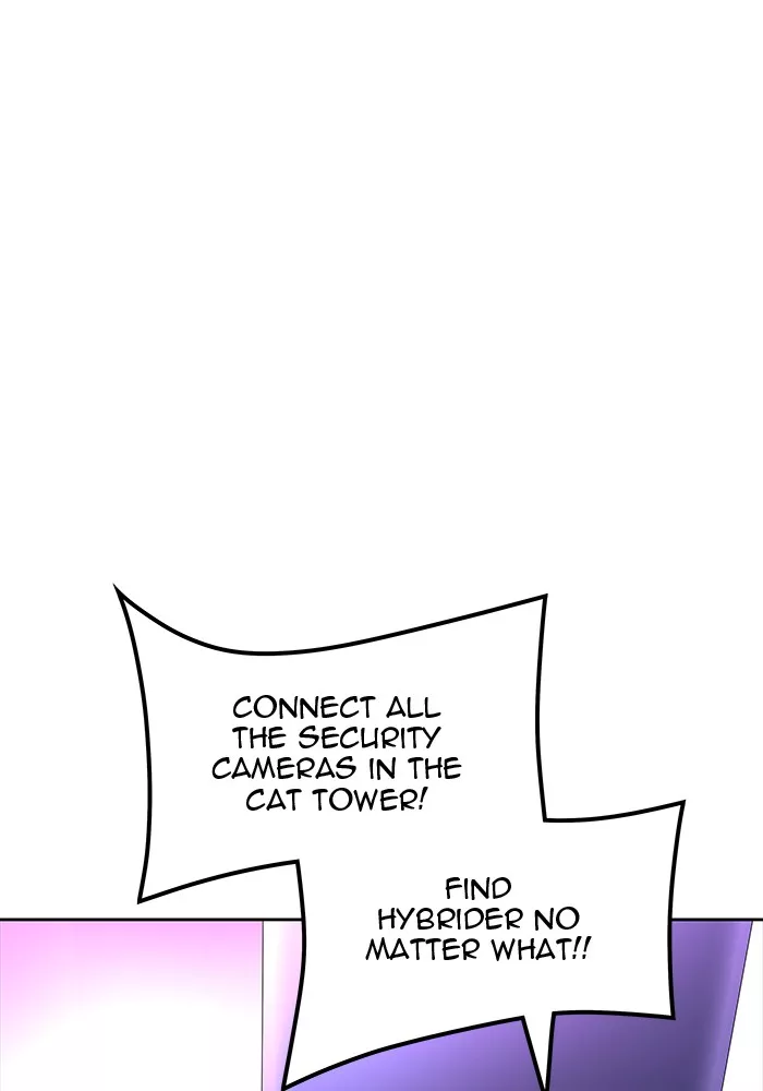 Tower of God, chapter 505, image 16