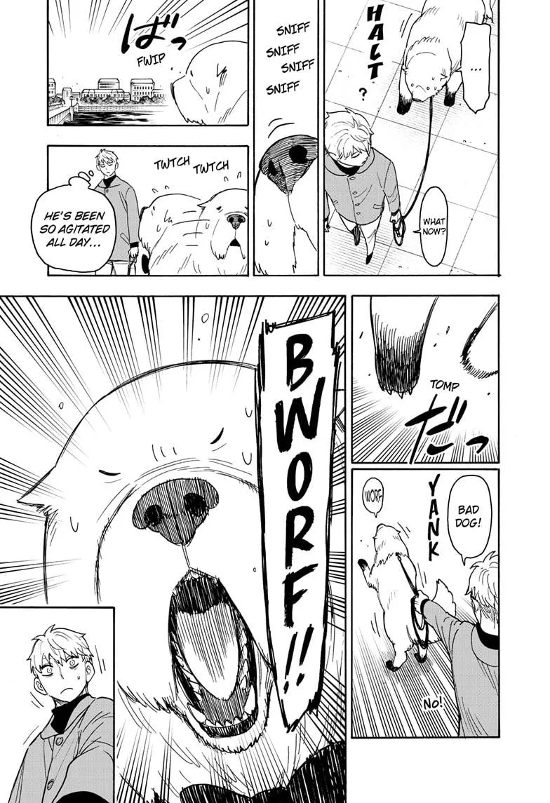SPY x FAMILY, chapter 58.1, image 13