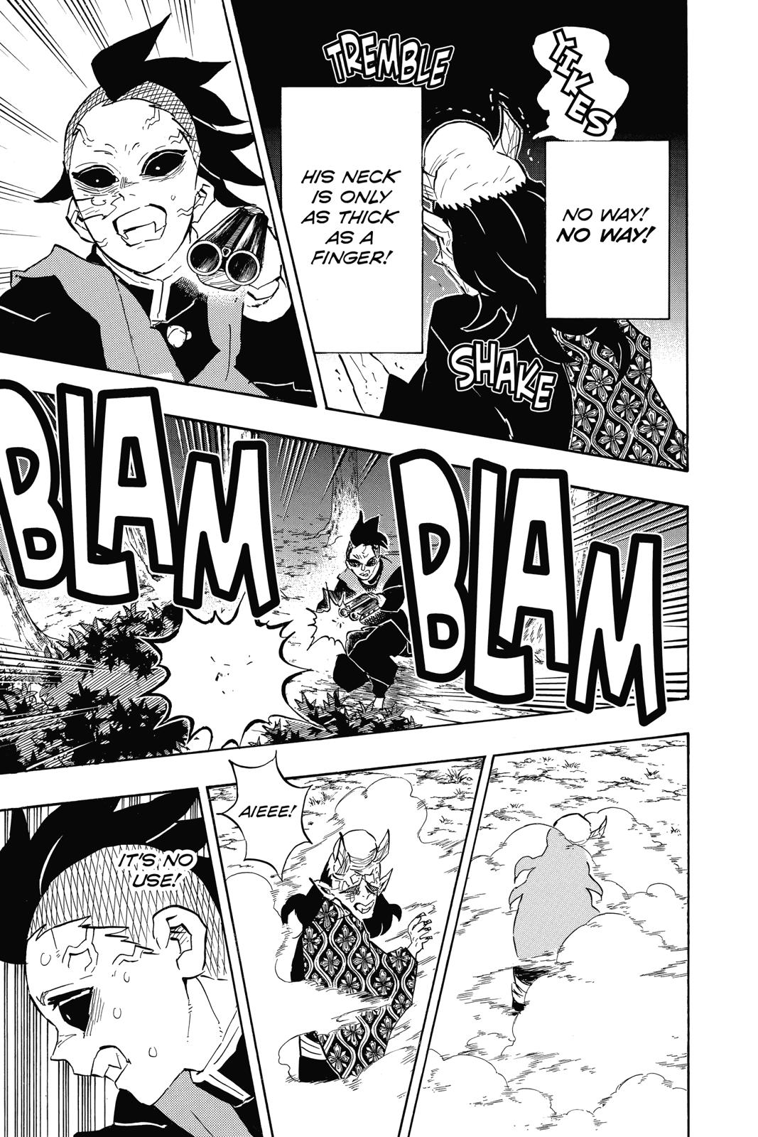 Demon Slayer: Kimetsu no Yaiba, chapter 114, image 17