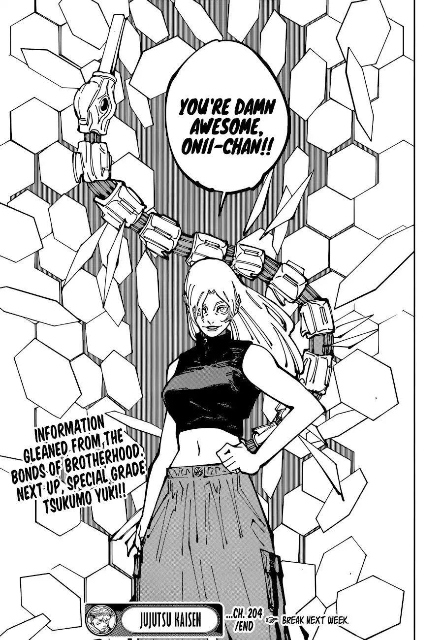 Jujutsu Kaisen, chapter 204, image 19