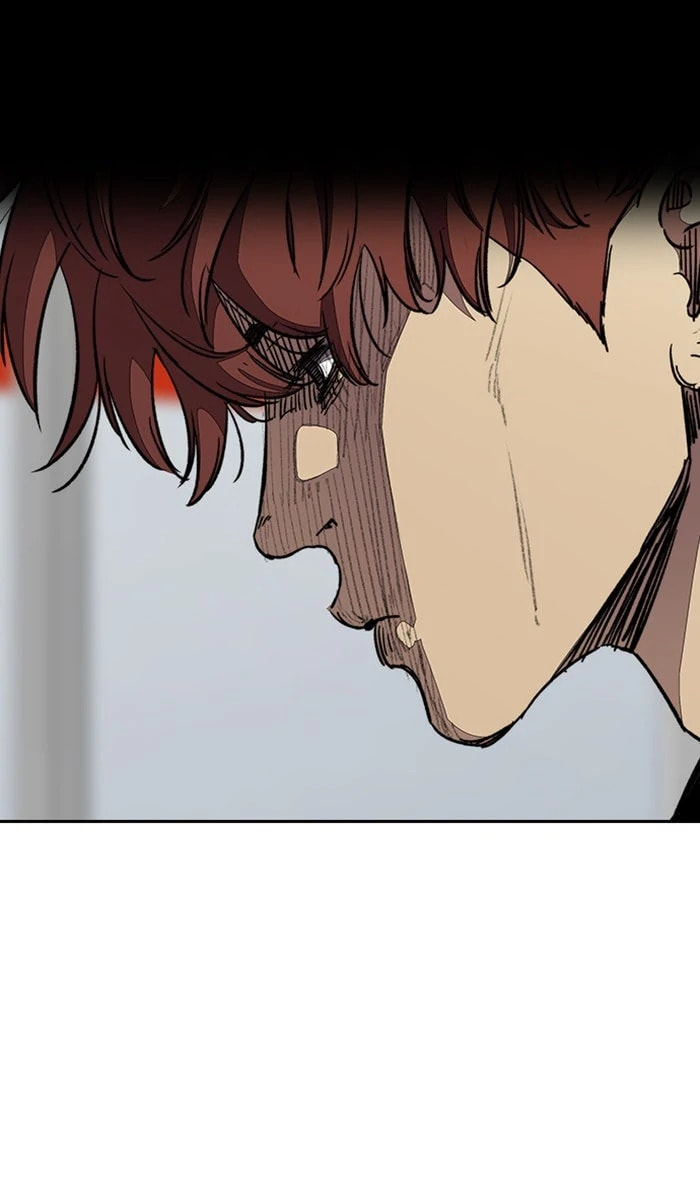 Wind Breaker, chapter 351, image 14