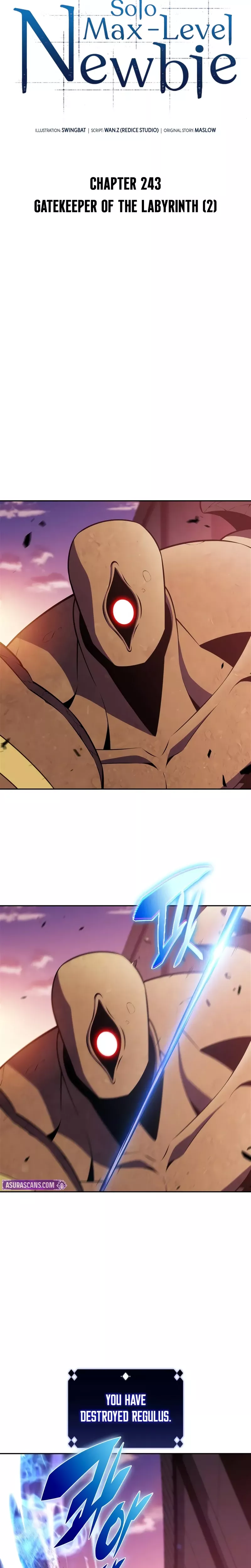 Solo Max-Level Newbie, chapter 243, image 16