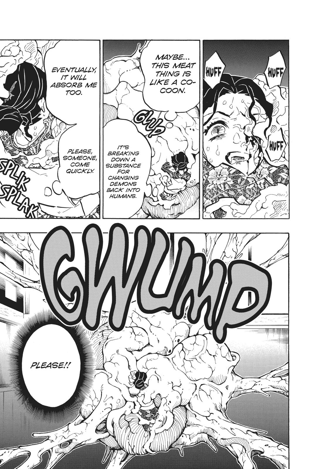 Demon Slayer: Kimetsu no Yaiba, chapter 146, image 19