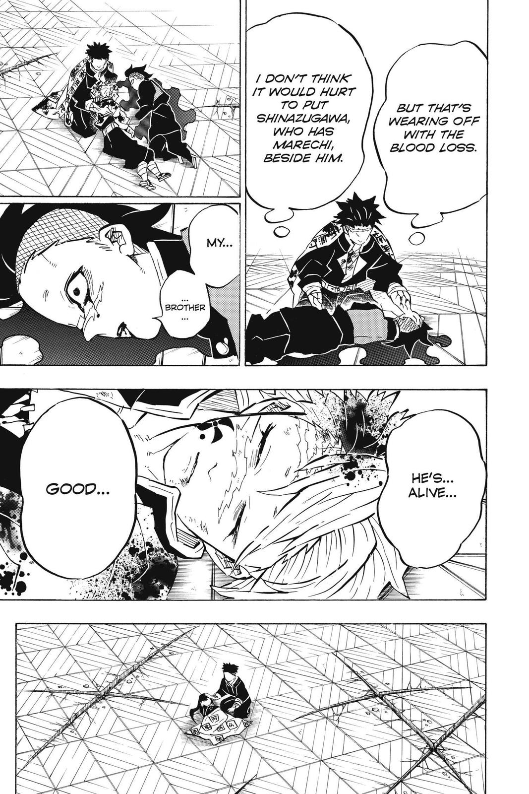 Demon Slayer: Kimetsu no Yaiba, chapter 179, image 11