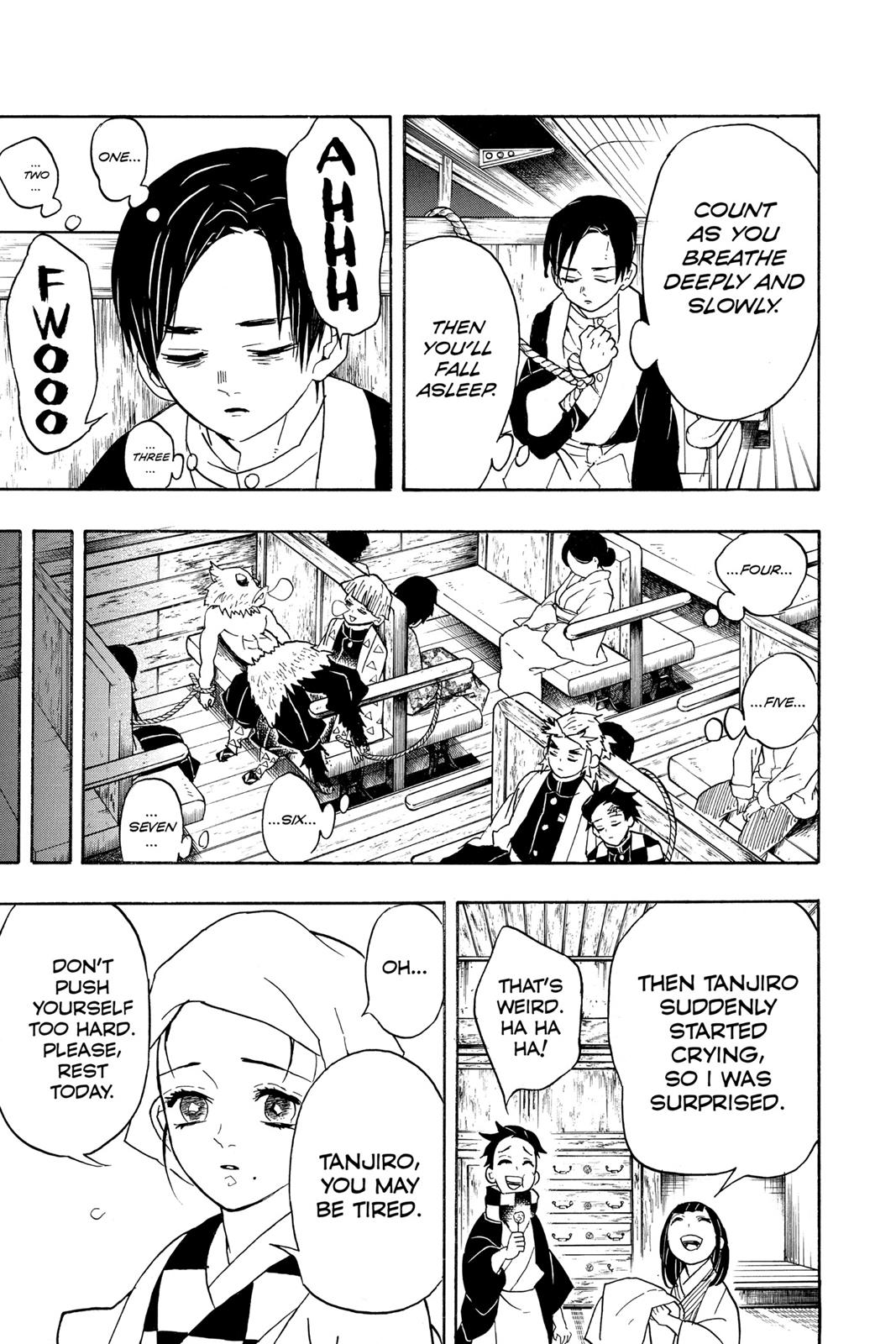 Demon Slayer: Kimetsu no Yaiba, chapter 55, image 17