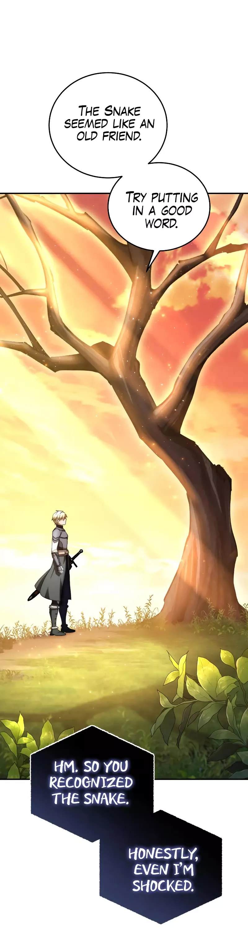 Star-Fostered Swordmaster, chapter 24, image 24