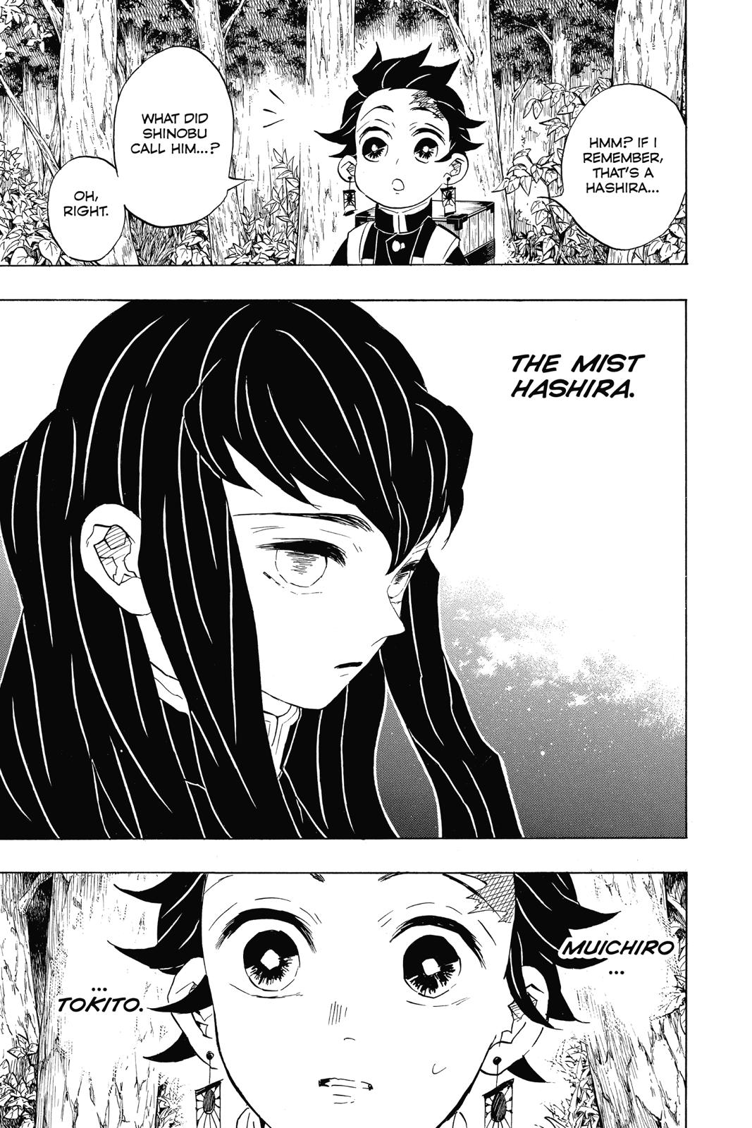 Demon Slayer: Kimetsu no Yaiba, chapter 101, image 19