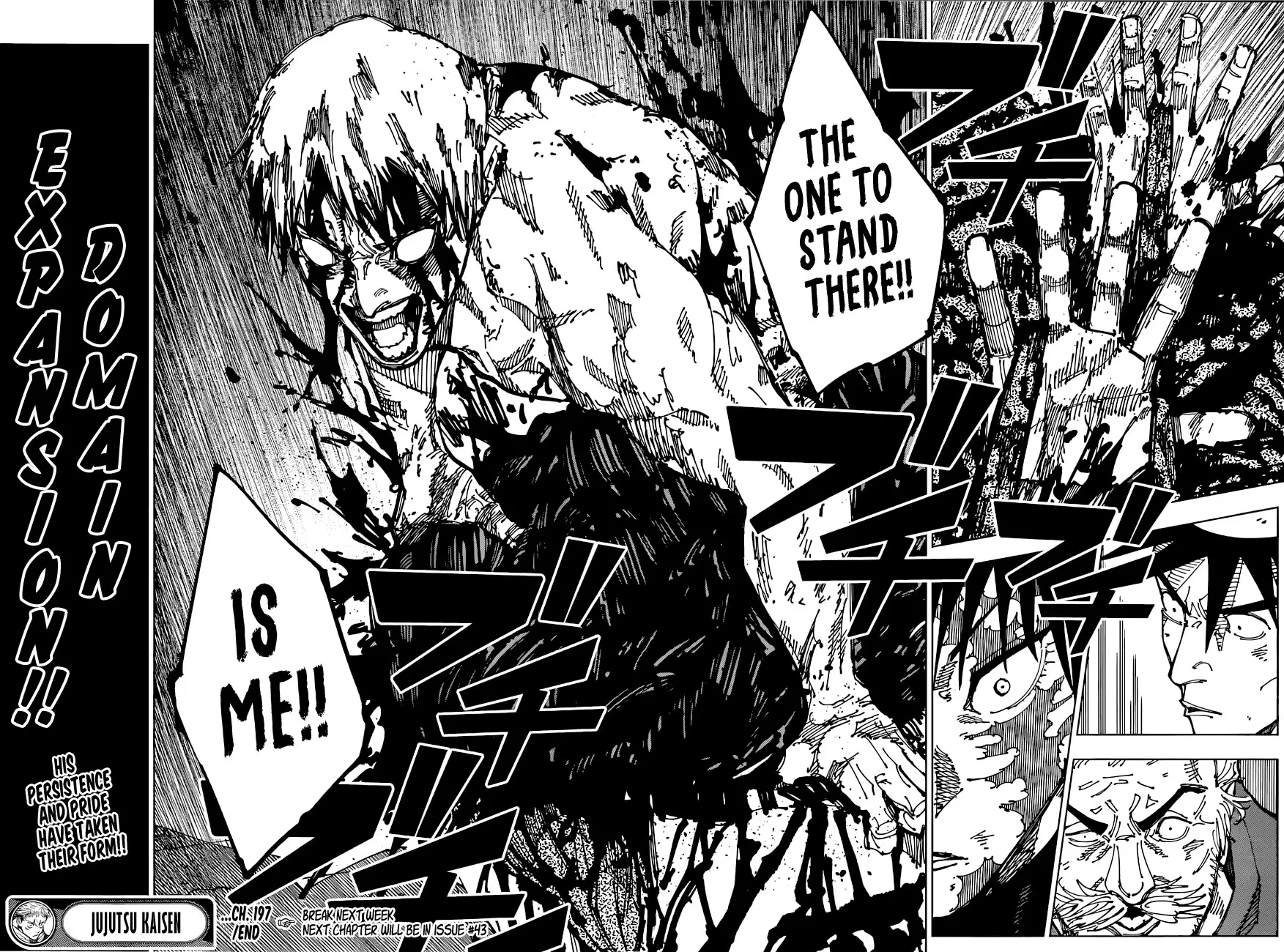Jujutsu Kaisen, chapter 197, image 17