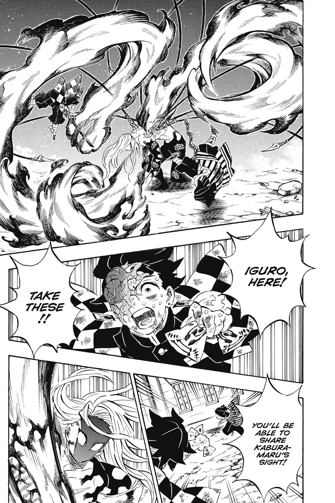 Demon Slayer: Kimetsu no Yaiba, chapter 195, image 13