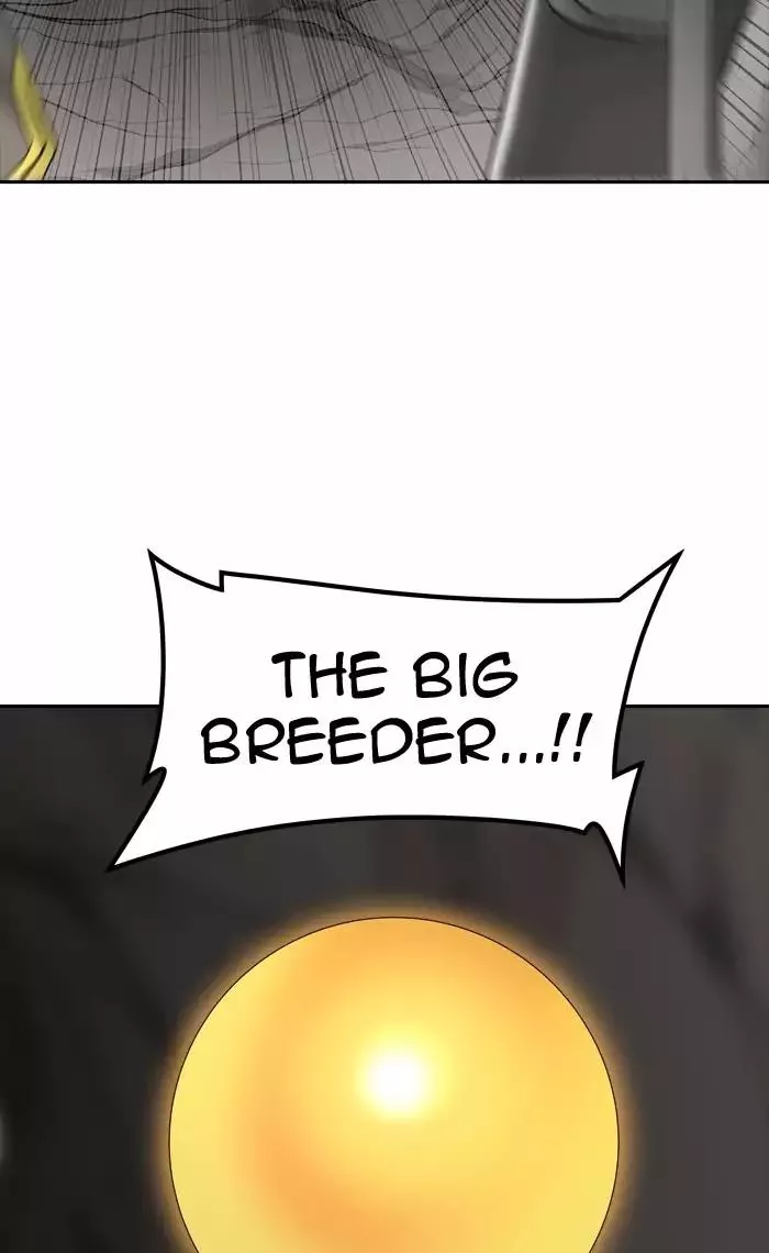 Tower of God, chapter 375, image 20