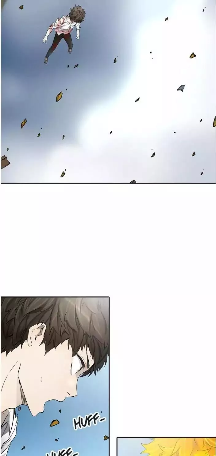 Tower of God, chapter 385, image 5