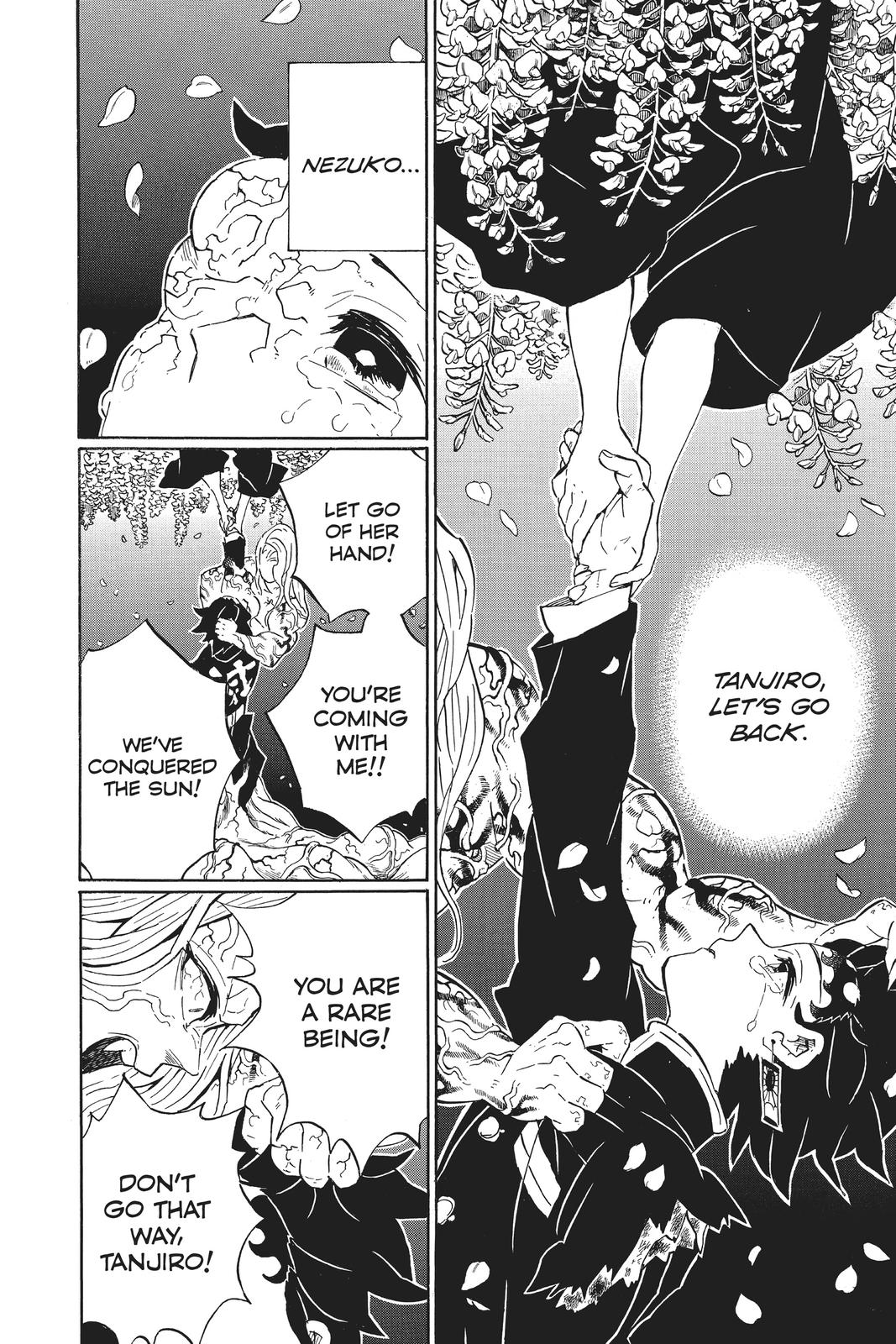 Demon Slayer: Kimetsu no Yaiba, chapter 203, image 10