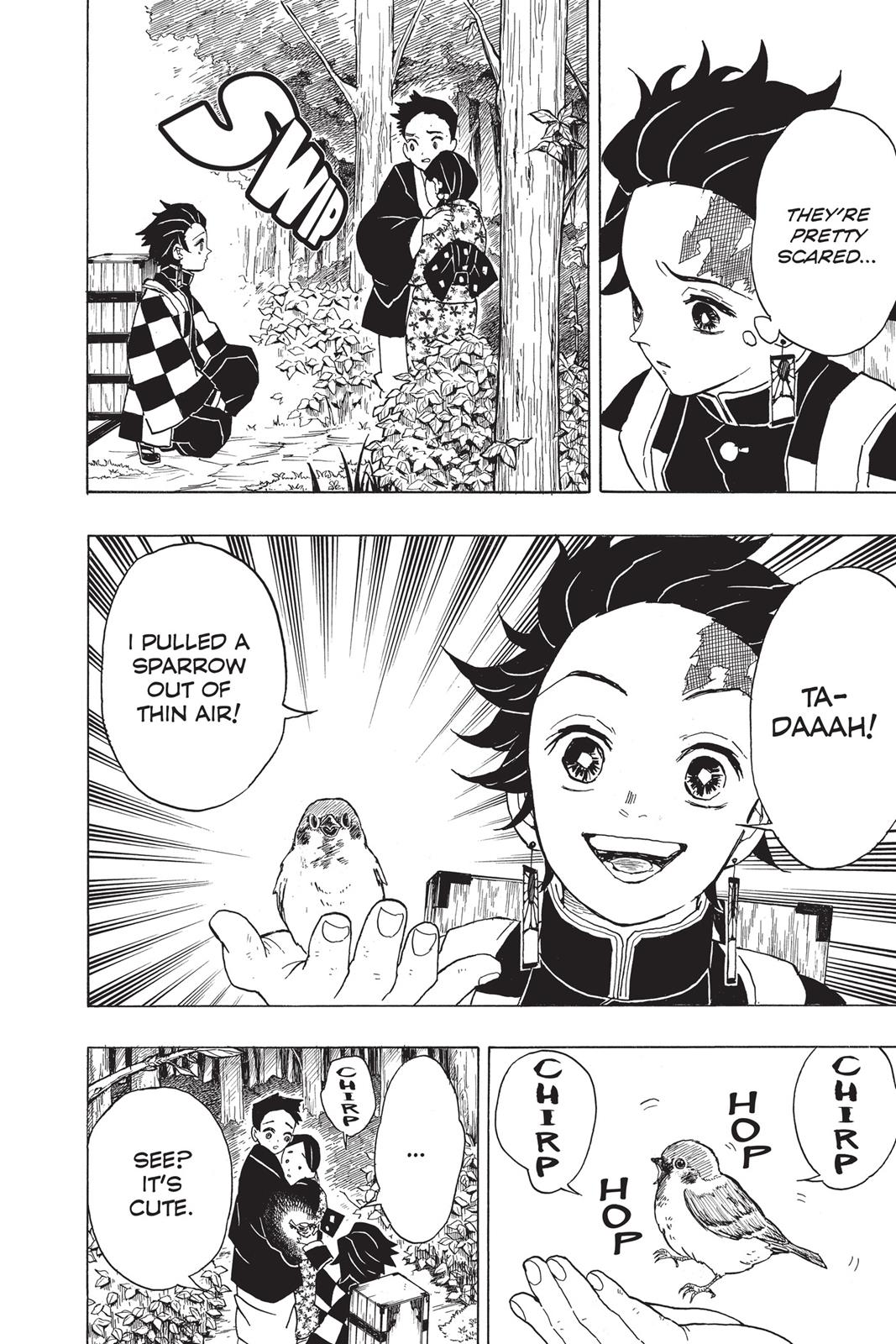 Demon Slayer: Kimetsu no Yaiba, chapter 20, image 12