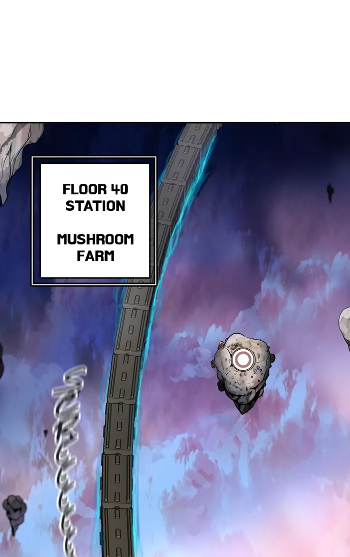 Tower of God, chapter 310, image 12