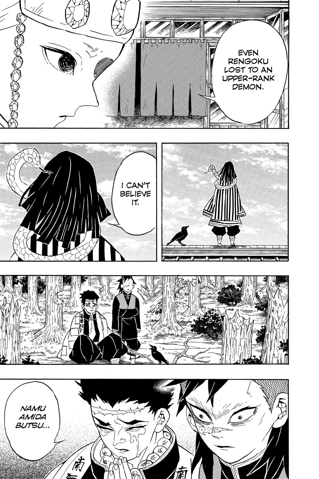 Demon Slayer: Kimetsu no Yaiba, chapter 66, image 19