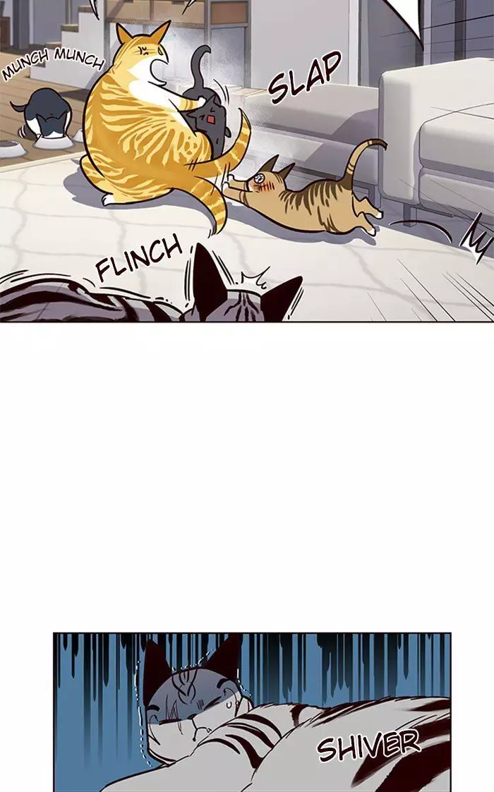 Eleceed, chapter 37, image 49