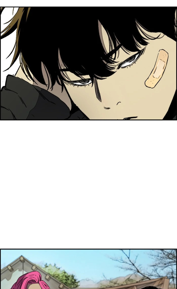 Wind Breaker, chapter 262, image 51