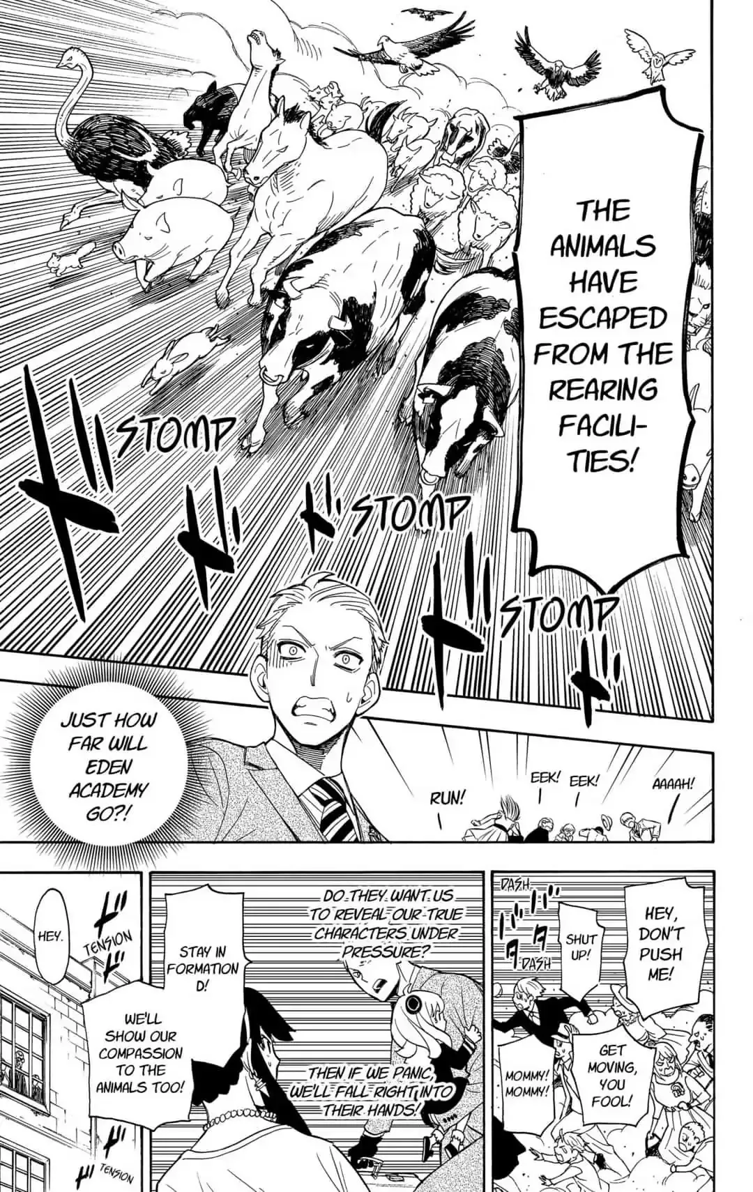 SPY x FAMILY, chapter 4, image 17