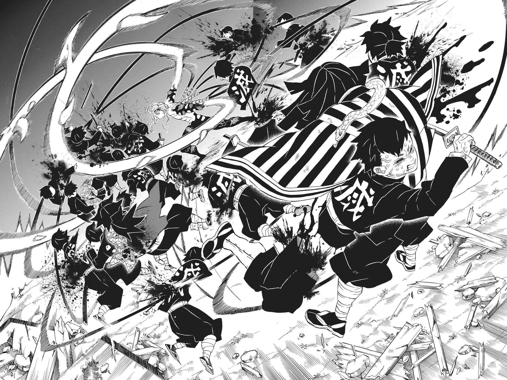Demon Slayer: Kimetsu no Yaiba, chapter 184, image 12