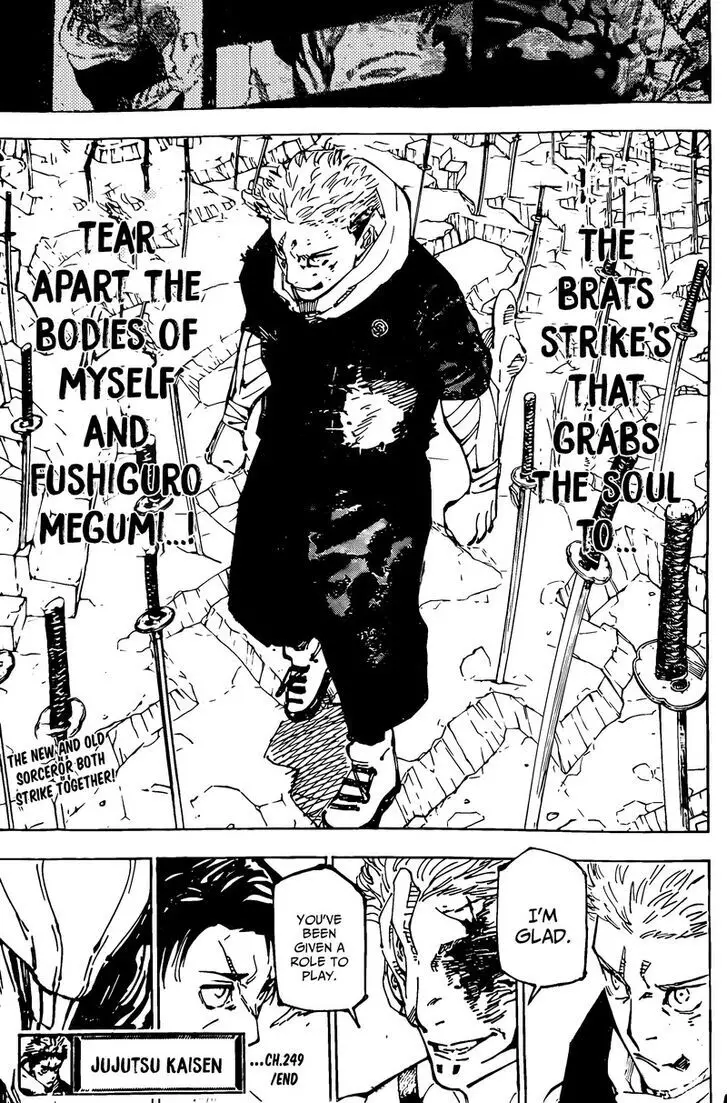 Jujutsu Kaisen, chapter 249, image 17