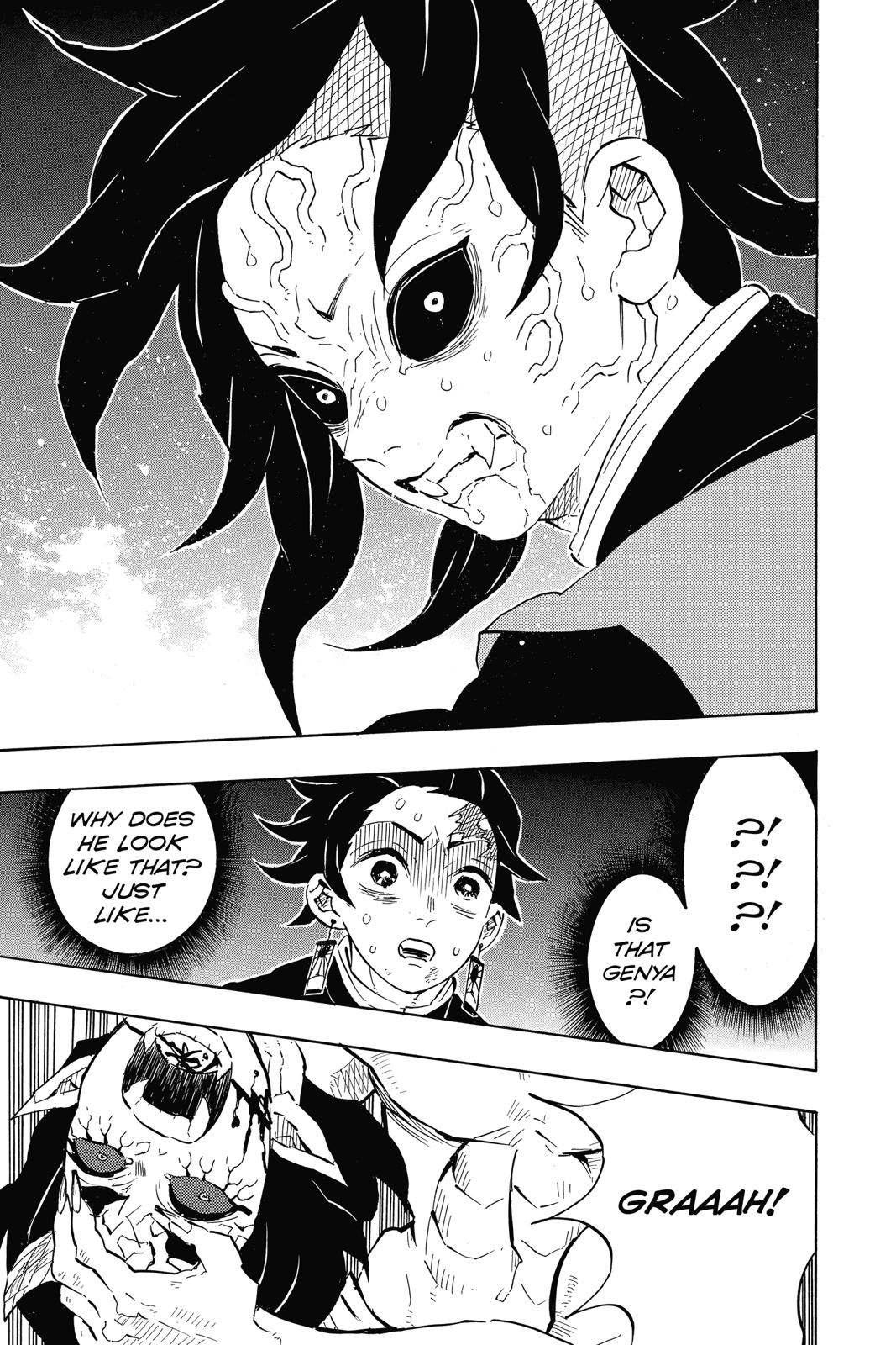 Demon Slayer: Kimetsu no Yaiba, chapter 113, image 12