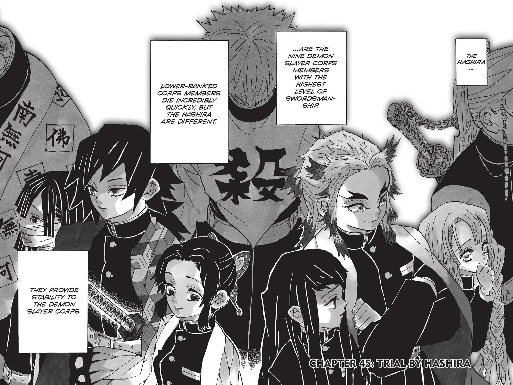 Demon Slayer: Kimetsu no Yaiba, chapter 45, image 2
