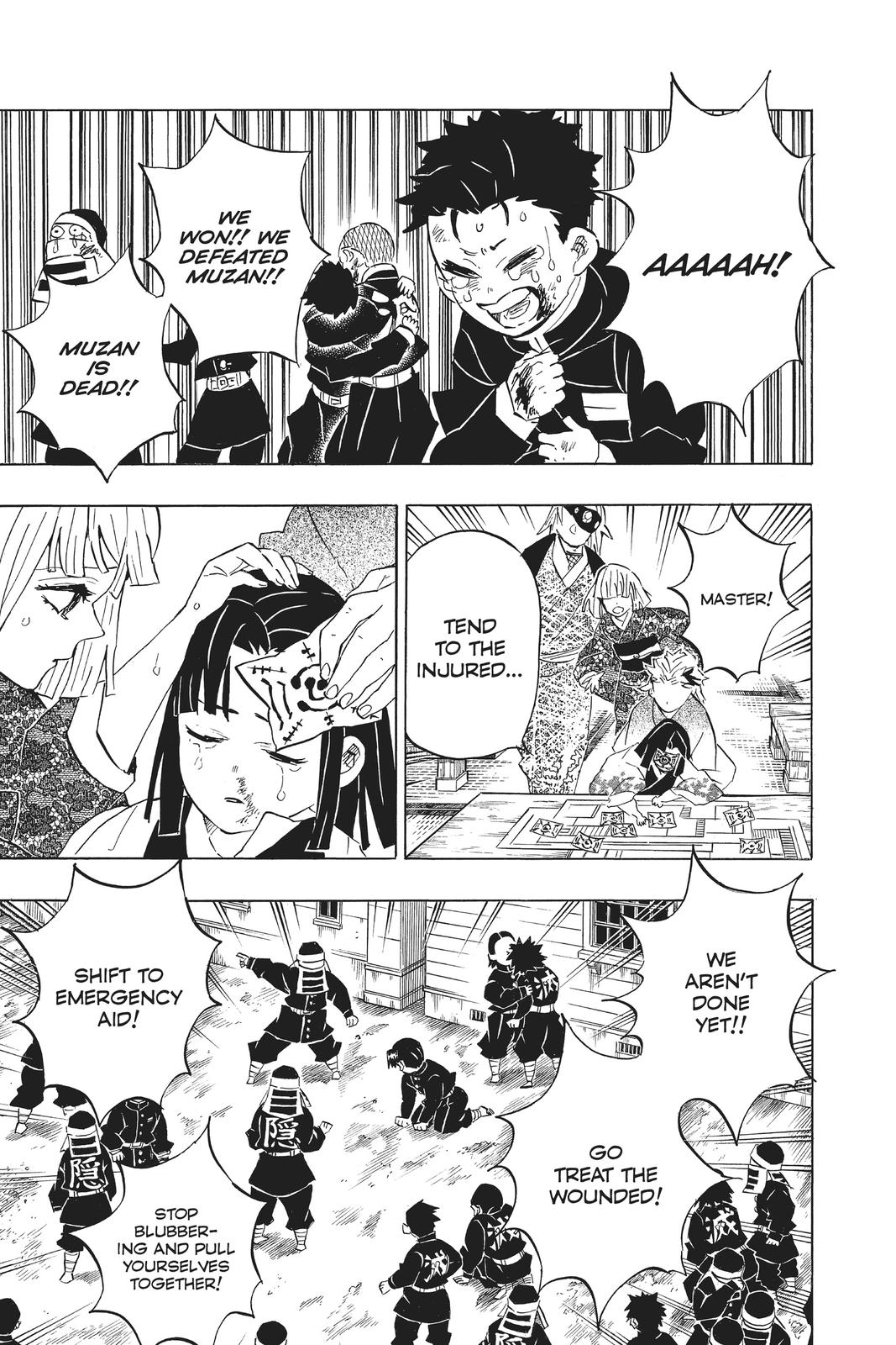 Demon Slayer: Kimetsu no Yaiba, chapter 200, image 6